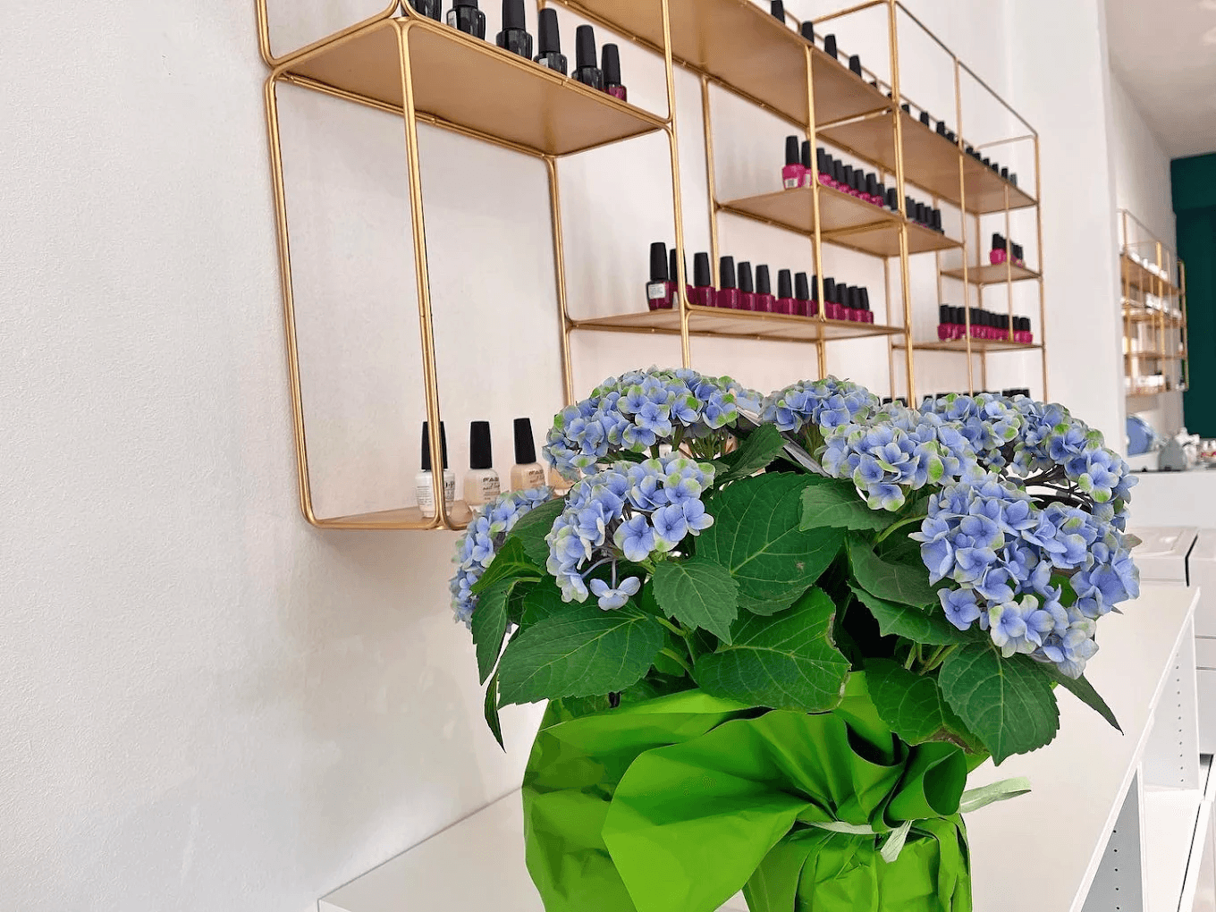 Interno di Holly Nail Spa a Verona